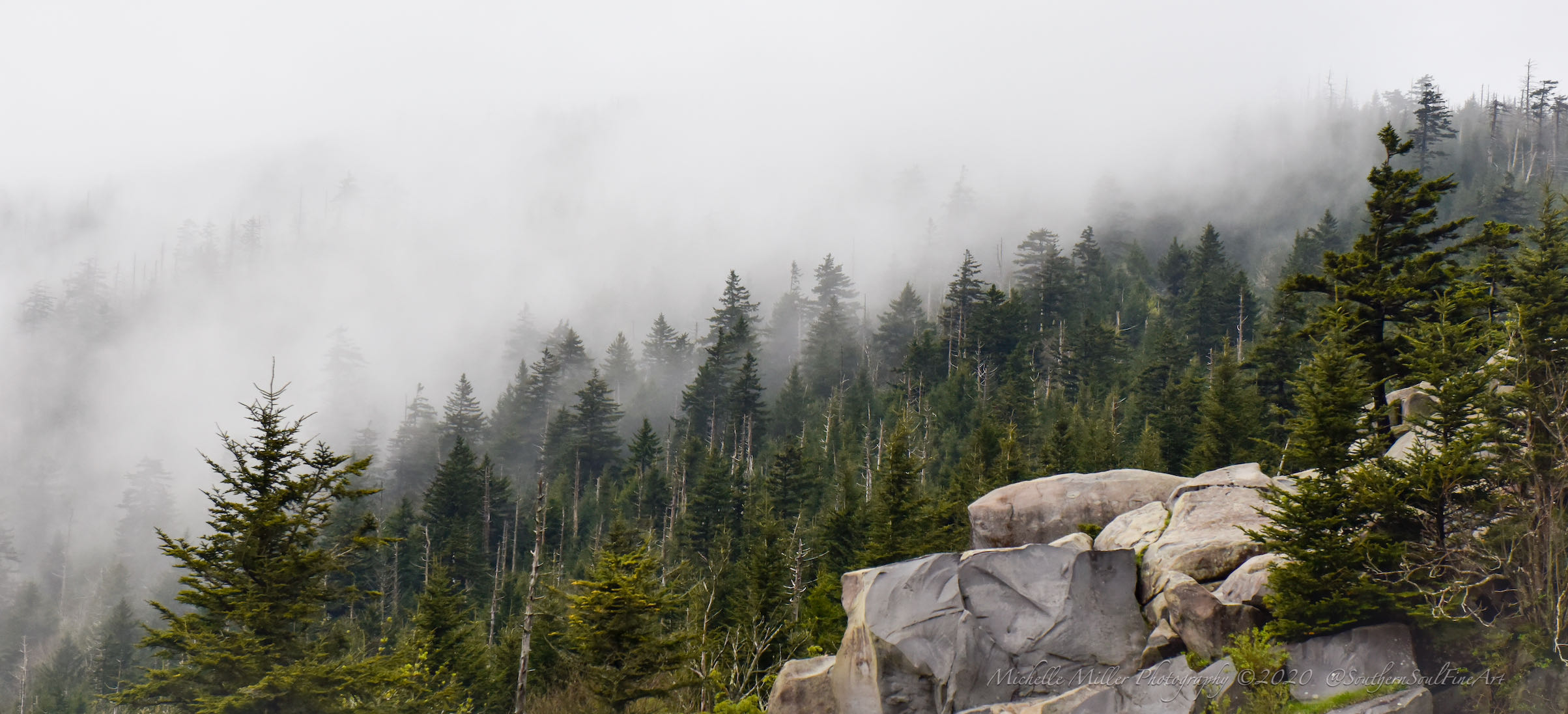 Pine Trees, Clouds in the valley and large boulders