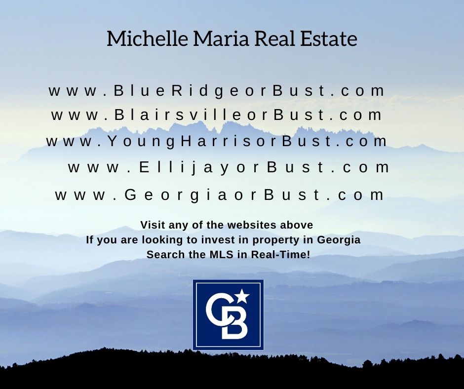 Website URL's RE michelle maria miller list of website domains