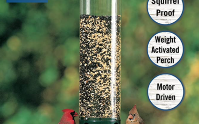 Squirrel Proof Feeder – Keep Them From Eating the Birds Meals