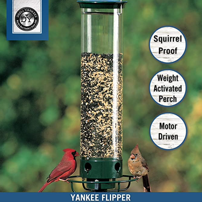 Squirrel Proof Feeder – Keep Them From Eating the Birds Meals